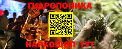 крисы Новодвинск