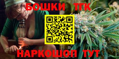 крисы Новодвинск