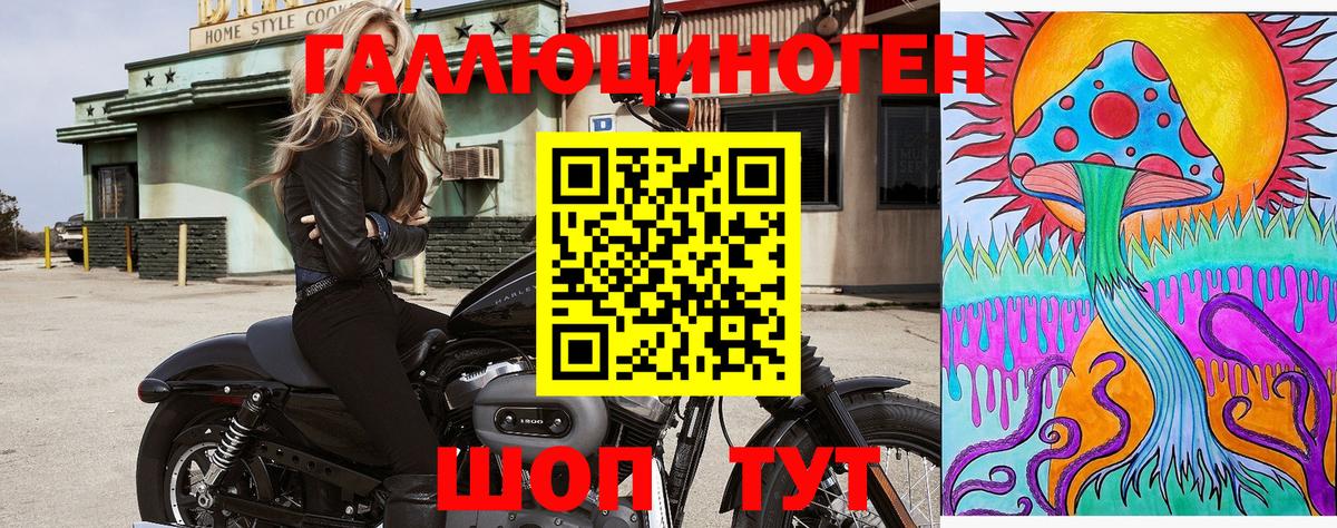 Чайковский  Галлюциногенные грибы ЛСД  Вход с VPN 