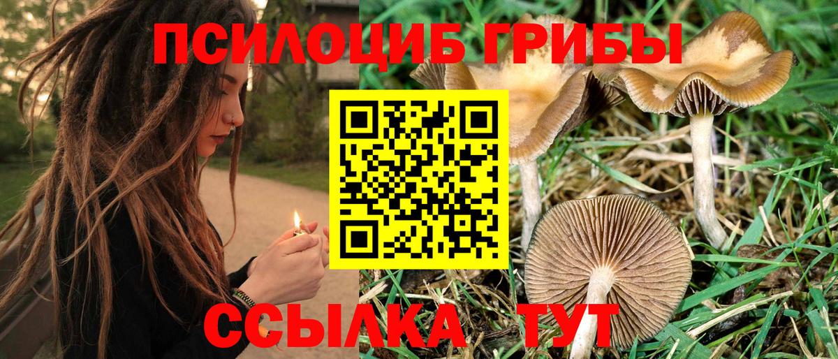 Галлюциногенные грибы мухоморы Чайковский